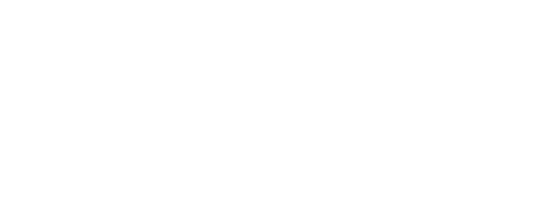 Logo RoverCash Blanc